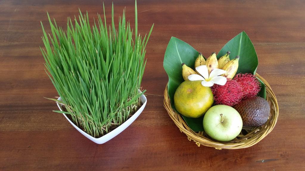 Palm Garden Bali Hotel Nusa Dua  Kültér fotó